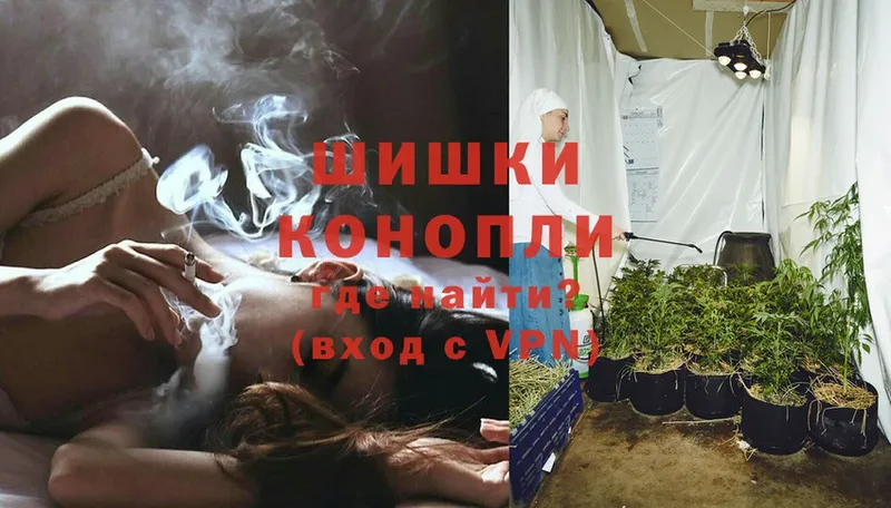 Бошки марихуана Ganja  Кировск 